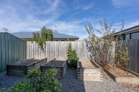 Photo of property in 36 Cole Street, Masterton, 5810