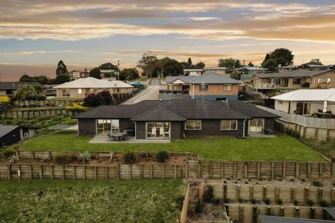 Photo of property in 373 Picquet Hill Road, Te Awamutu, 3800