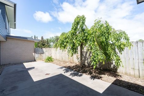 Photo of property in 19b Inverness Avenue, Hamilton East, Hamilton, 3216