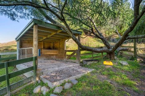 Photo of property in 274 Northbank Road, Kaituna, Blenheim, 7275