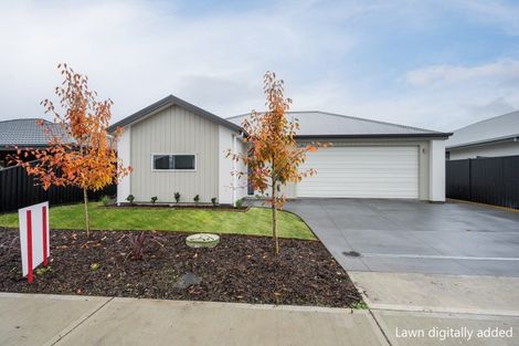 Photo of property in 5 Lampton Street, Richmond, 7020