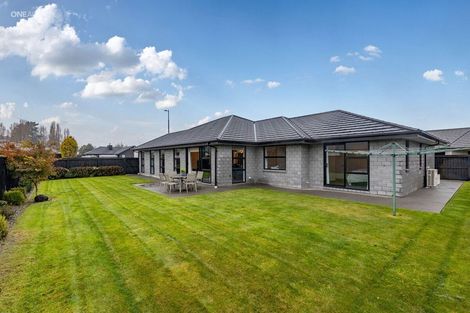 Photo of property in 147 Te Rito Street, Marshland, Christchurch, 8083