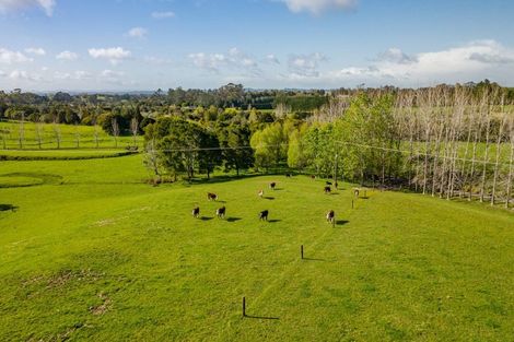 Photo of property in 46 Macadamia Lane, Waipapa, Kerikeri, 0295