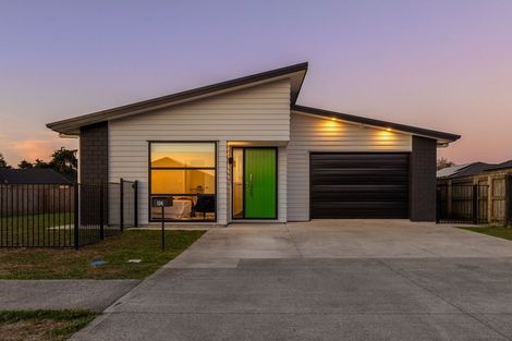 Photo of property in 104 Hinemoa Street, Levin, 5510