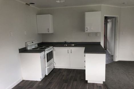 Photo of property in 1/505 Albert Street, Hastings, 4122