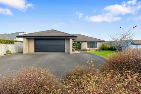 Photo of property in 19 Mortlake Heights, Pyes Pa, Tauranga, 3112