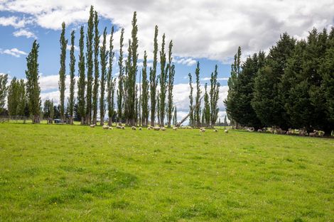 Photo of property in 1303 Fruitlands - Roxburg, Fruitlands, Alexandra, 9392