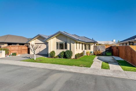 Photo of property in 15 Korari Grove, Redwoodtown, Blenheim, 7201