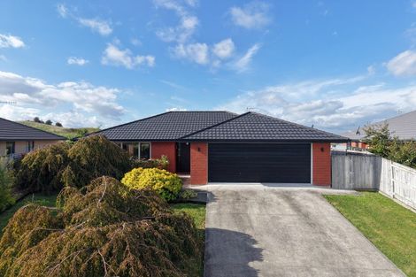 Photo of property in 10 Macdonald Heights, Feilding, 4702