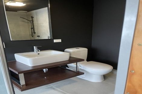 Photo of property in Tattoo Apartments, 23/42u Abel Smith Street, Te Aro, Wellington, 6011