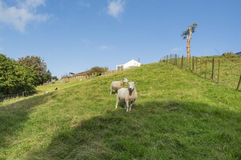 Photo of property in 143 Youngson Road, Whakamarama, Tauranga, 3179