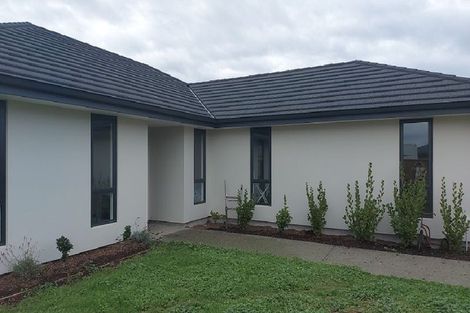 Photo of property in 17 Feltham Street, Richmond, 7020