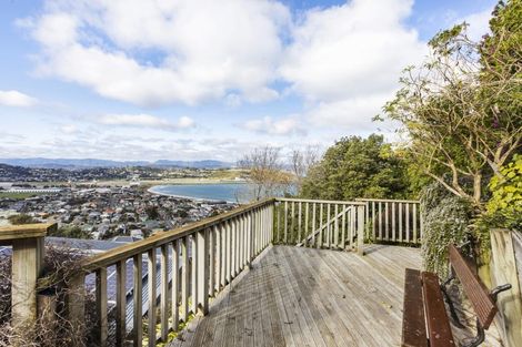 Photo of property in 45 Carlton Street, Melrose, Wellington, 6023