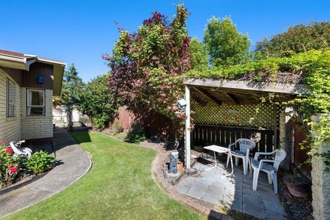 Photo of property in 45 Leefield Street, Blenheim, 7201