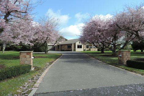 Photo of property in 14 James Avenue, Matamata, 3472