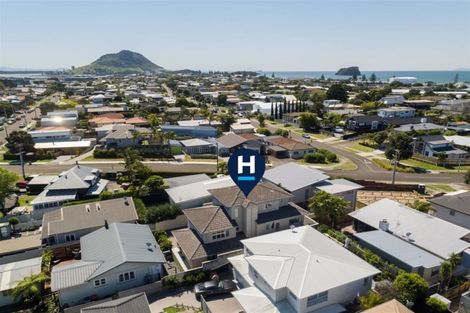 Photo of property in 45b Campbell Road, Mount Maunganui, 3116