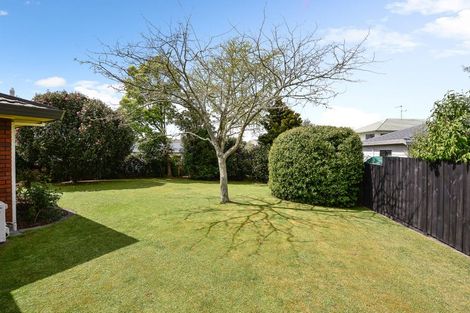 Photo of property in 17 Willowfield Place, Pukete, Hamilton, 3200
