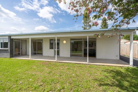 Photo of property in 389a Dey Street, Hamilton East, Hamilton, 3216