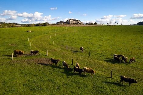 Photo of property in 273 Forestry Road, Waitoki, Kaukapakapa, 0871