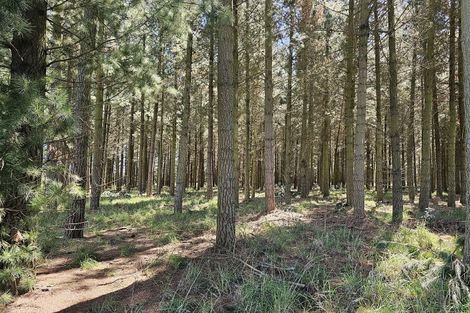 Photo of property in 577 Pesters Road, West Eyreton, 7475