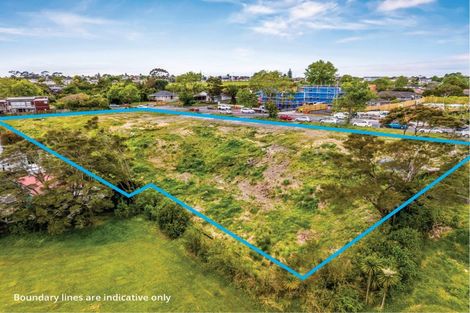 Photo of property in 64 Edmonton Road, Henderson, Auckland, 0612