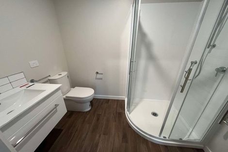 Photo of property in 48a Elizabeth Street, Levin, 5510