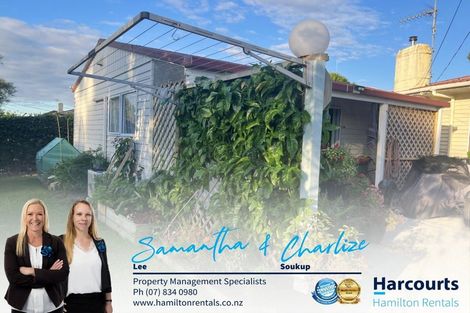 Photo of property in 20 Minifie Avenue, Melville, Hamilton, 3206