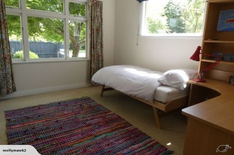 Photo of property in 51 Ngaio Street, Saint Martins, Christchurch, 8022