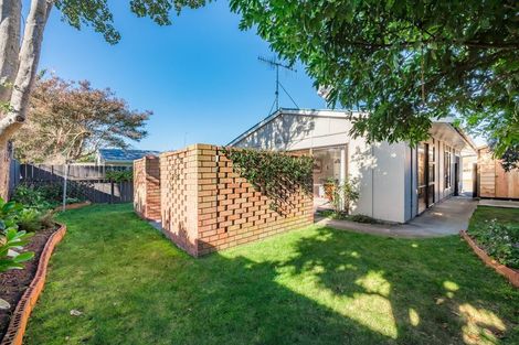 Photo of property in 7 Rodney Grove, Paraparaumu, 5032