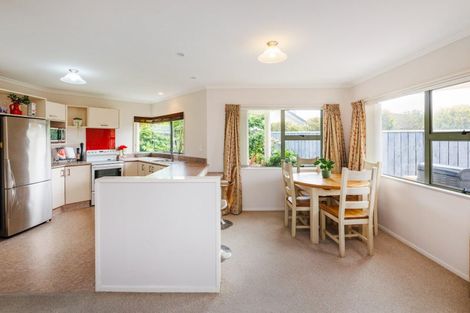 Photo of property in 21 Tudor Grove, Feilding, 4702