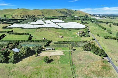 Photo of property in 95 Ohinepanea Road, Pukehina, Te Puke, 3186