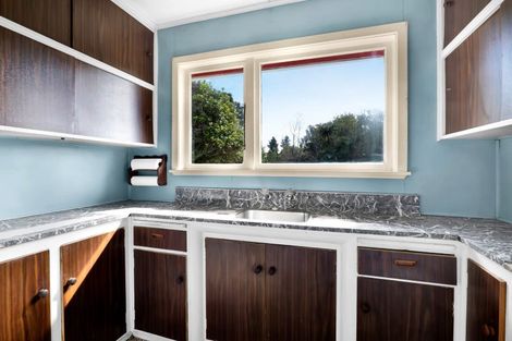 Photo of property in 13 Brecon Road, Stratford, 4332