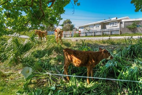 Photo of property in 2 Centennial Park Road, Wellsford, 0900