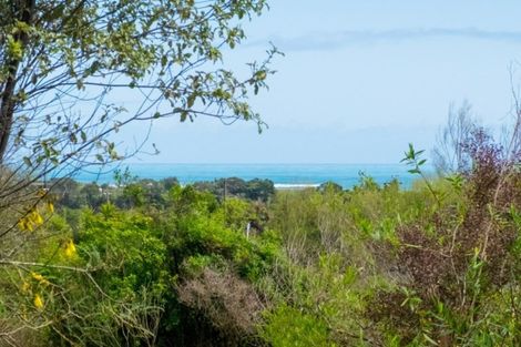 Photo of property in 28 Nikau Heights, Little Wanganui, Karamea, 7893