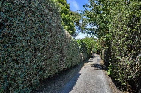 Photo of property in 60 Langdale Avenue, Paraparaumu, 5032