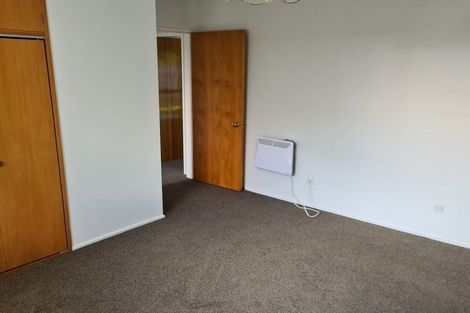 Photo of property in 53 Diamond Avenue, Spreydon, Christchurch, 8024