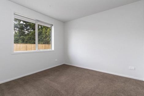 Photo of property in 41u2 Ross Crescent, Fairfield, Hamilton, 3214