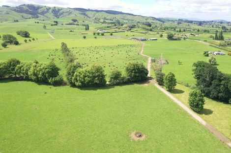 Photo of property in 231 Grice Road, Rotoorangi, Cambridge, 3495