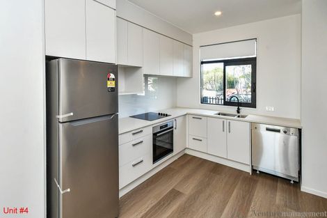 Photo of property in 3/22 James Laurie Street, Henderson, Auckland, 0612