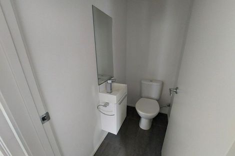 Photo of property in 195u2 Massey Street, Frankton, Hamilton, 3204