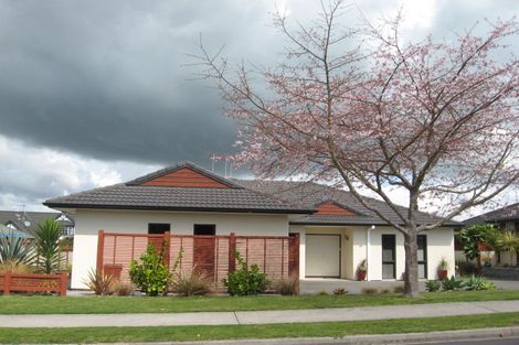 Photo of property in 11 Kinloch Drive, Bethlehem, Tauranga, 3110