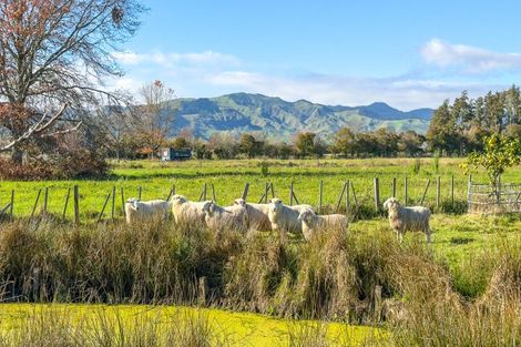 Photo of property in 6736 Wilson Road, Netherton, Paeroa, 3671
