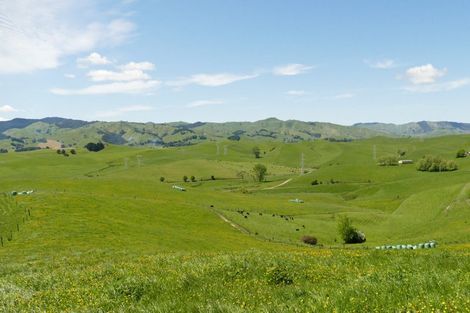Photo of property in 361 Martin Road, Waerenga, Te Kauwhata, 3781