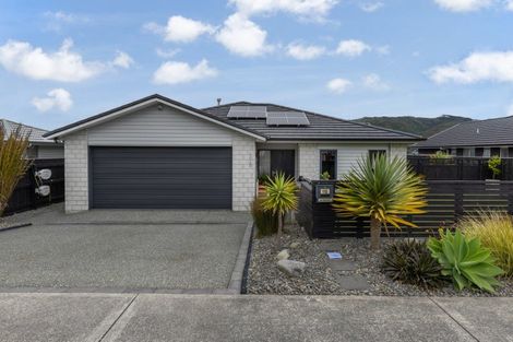 Photo of property in 118 John Burke Drive, Aotea, Porirua, 5024