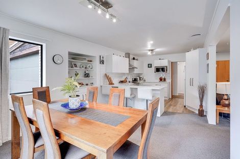 Photo of property in 49e Carey Street, Maeroa, Hamilton, 3200