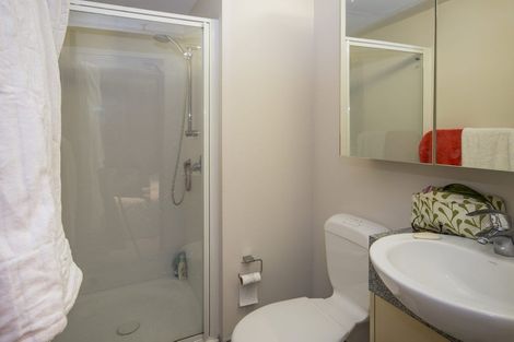 Photo of property in Dual Apartments, 108/142u Vivian Street, Te Aro, Wellington, 6011