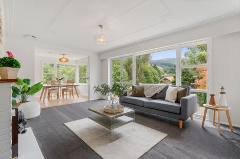 Photo of property in 3 Jason Street, Helensburgh, Dunedin, 9010