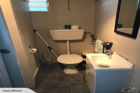 Photo of property in 60 Mortimer Terrace, Brooklyn, Wellington, 6021