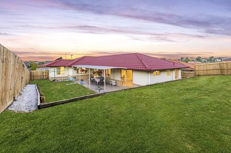 Photo of property in 38 Semillon Avenue, Henderson, Auckland, 0612