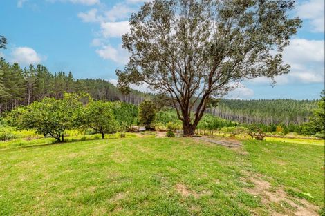 Photo of property in 110 Whangape Track, Broadwood, Kohukohu, 0491